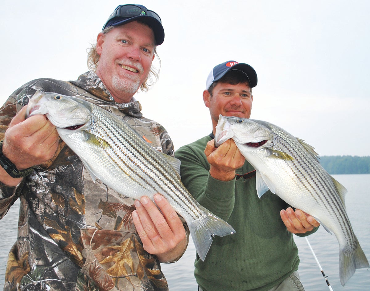 Striped bass stocked: speckled trout, flounder rules confusing